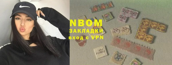 мдпв Вязьма